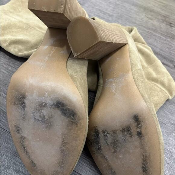🔥🔥FIRE SALE 🔥🔥Banana Republic suede high heel nude slouchy boot - Picture 9 of 9